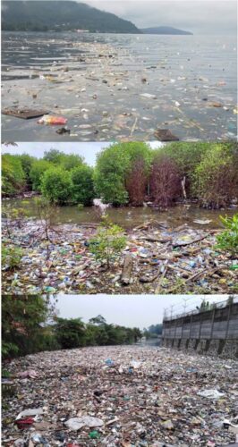 海洋塑料补偿：严重受污染的海洋和海岸塑料垃圾现场
